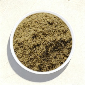 Bioforte Defatted Black Soldier Fly Powder High Protein Insect Protein 25kg/bag Rainbow Trout Ornamental Fish Aquafeed Feed