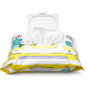 Custom-printed Back-seal Plastic Nylon Pouch with Lid for Wet Wipes and Napkins