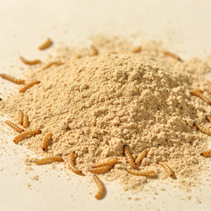 Bulk Defatted Mealworm Powder Insect Protein For Chicken Feed Aquarium Fish Food Bird Food Pet Treats Supplements