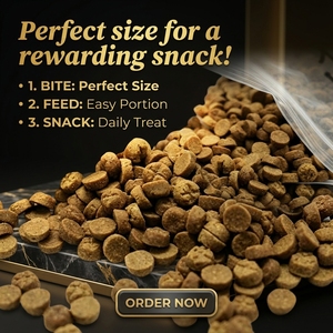 High Protein Sensitive Stomach Cat Food